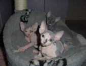 Enlarge photo 23
