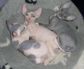 Enlarge photo 24