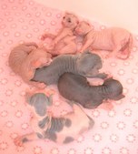 Enlarge photo 15