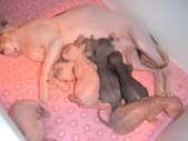 Enlarge photo 12