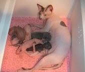 Enlarge photo 11