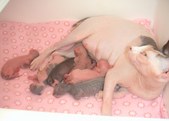 Enlarge photo 2