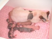 Enlarge photo 6