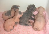 Enlarge photo 13