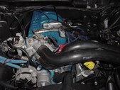 Enlarge photo 41