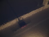 Enlarge photo 57