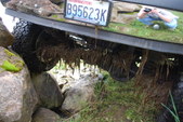 Enlarge photo 171