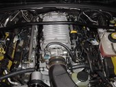 Enlarge photo 81