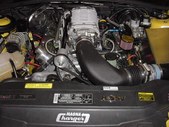 Enlarge photo 126
