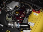 Enlarge photo 165