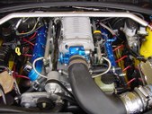 Enlarge photo 198