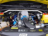 Enlarge photo 195