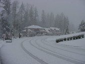 Enlarge photo 214