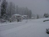 Enlarge photo 213