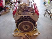 Enlarge photo 239