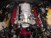 Enlarge photo 249