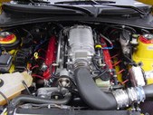 Enlarge photo 253