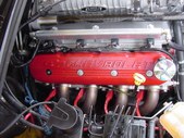 Enlarge photo 254