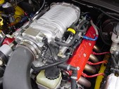 Enlarge photo 256