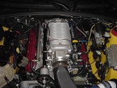 Enlarge photo 280