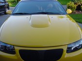 Enlarge photo 294