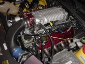 Enlarge photo 323