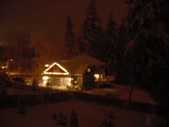 Enlarge photo 338