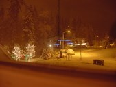Enlarge photo 339
