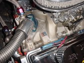 Enlarge photo 442