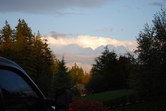 Enlarge photo 477