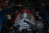 Enlarge photo 569
