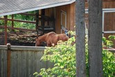 Enlarge photo 414