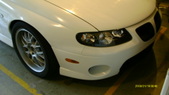 Enlarge photo 533