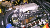 Enlarge photo 559
