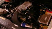 Enlarge photo 553