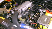 Enlarge photo 554