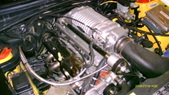 Enlarge photo 556