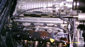 Enlarge photo 549