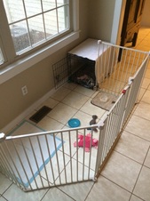 Enlarge photo 9