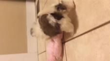 Enlarge MOV 8