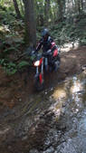 AllRoadrit