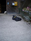 Enlarge photo 21