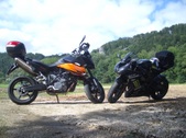 Enlarge photo 13