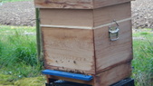 Enlarge photo 6