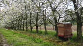 Enlarge photo 12