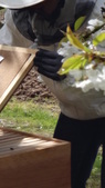 Enlarge photo 13