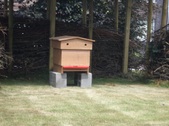 Enlarge photo 3