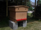 Enlarge photo 6