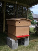 Enlarge photo 7