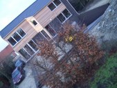 Enlarge photo 13